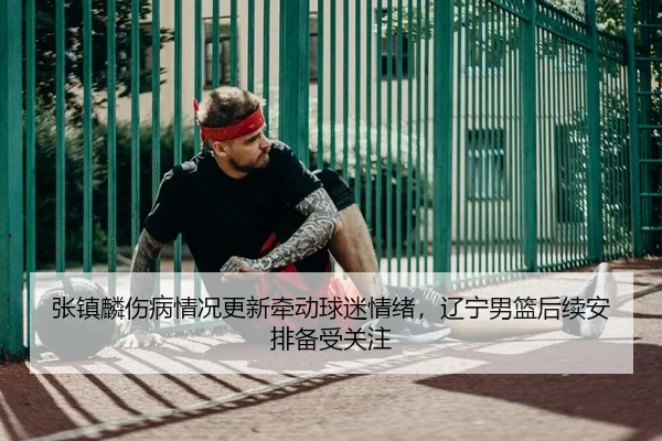 张镇麟伤病情况更新牵动球迷情绪，辽宁男篮后续安排备受关注