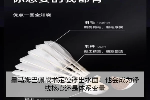 皇马姆巴佩战术定位浮出水面：他会成为锋线核心还是体系变量 | dongqiudi